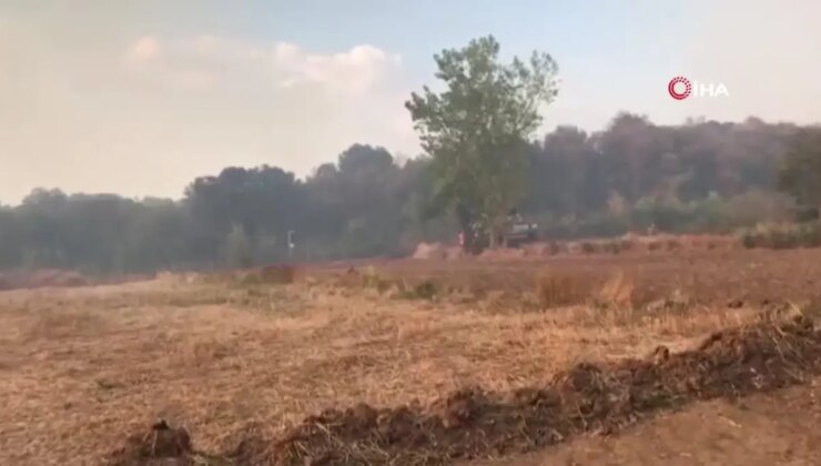 Bulgaristan hududunda çıkan yangın Edirne’nin köylerine ilerliyor