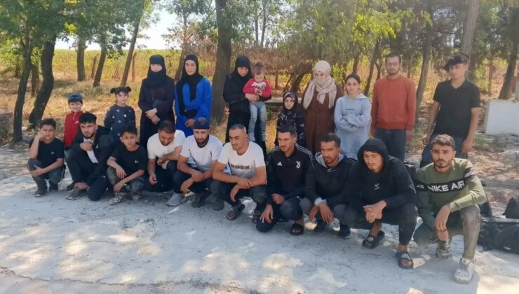 Edirne’de 28 kaçak göçmen yakalandı