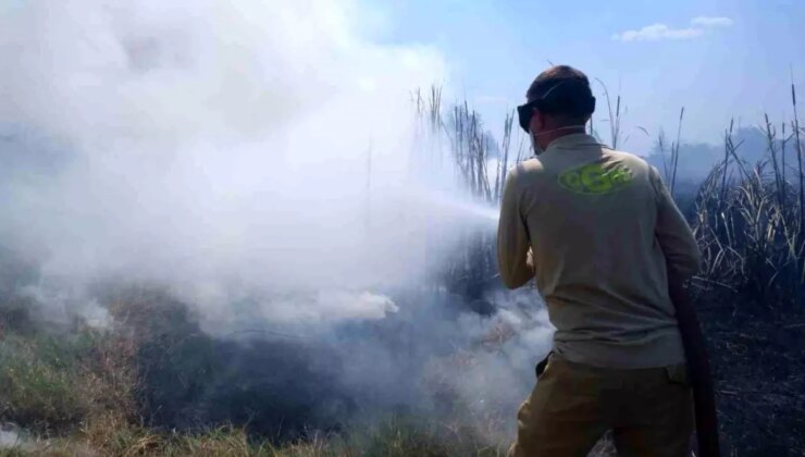 Edirne’de otluk alanda çıkan yangın söndürüldü