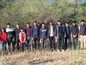Edirne’de yurda yasa dışı yollarla giren 48 sistemsiz göçmen yakalandı