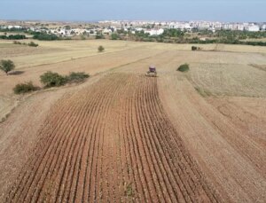 Trakya’da Ayçiçeği Hasadı Devam Ediyor