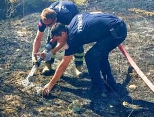 Edirne’de Alevlerin Ortasında Kalan Kaplumbağa Kurtarıldı