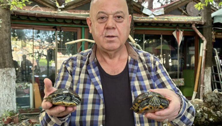 Edirne’de Kaplumbağa Bakım Meskeni: Kamil Tunca’nın Farklı Öyküsü