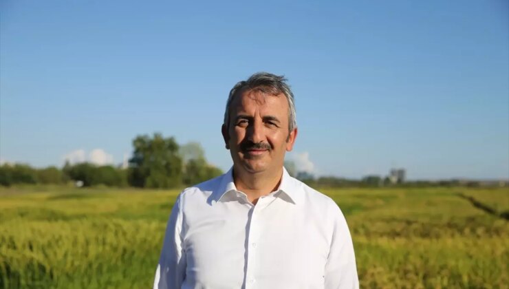 Edirne’de Ziraî Kuraklığa Karşı Tunca Irmağı’nda Su Tutma Çalışmaları