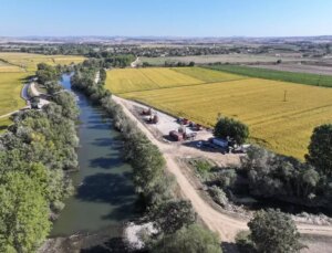 Edirne’de Çeltik Kurutma Mesaisi Başladı