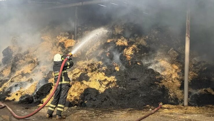 Edirne’de Çiftlikte Yangın: Büyükbaş Hayvanlar Kurtarıldı