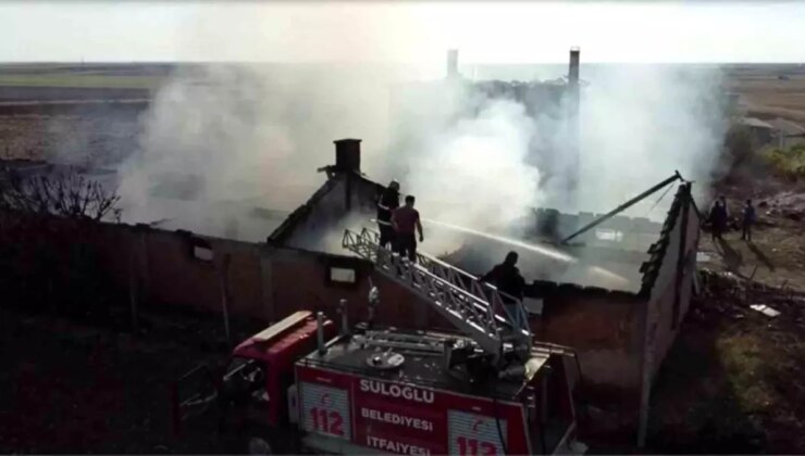Edirne’deki Çiftlik Yangını: Çok Sayıda Tavuk ve Arı Telef Oldu