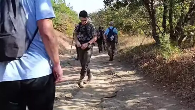 Tabiat Yürüyüşünde Oluklu Kertenkeleyle Karşılaştılar