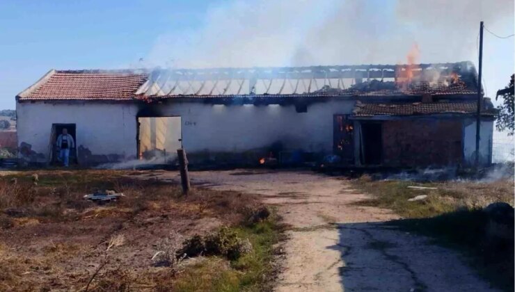 Edirne’de Yangın: 15 Ton Buğday ve 500 Balya Kül Oldu