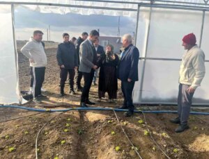 65 Yaşındaki Çiftçi Meryem Sarfiyat, Sera ile Aile Bütçesine Dayanak Sağlıyor