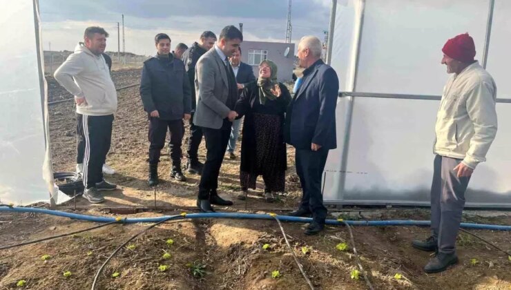 65 Yaşındaki Çiftçi Meryem Sarfiyat, Sera ile Aile Bütçesine Dayanak Sağlıyor