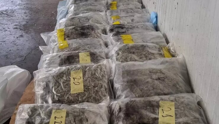 Edirne Kapıkule Hudut Kapısında 24 Kilo Esrar Ele Geçirildi