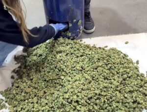 İpsala’da 35 kilo uyuşturucu ele geçirildi