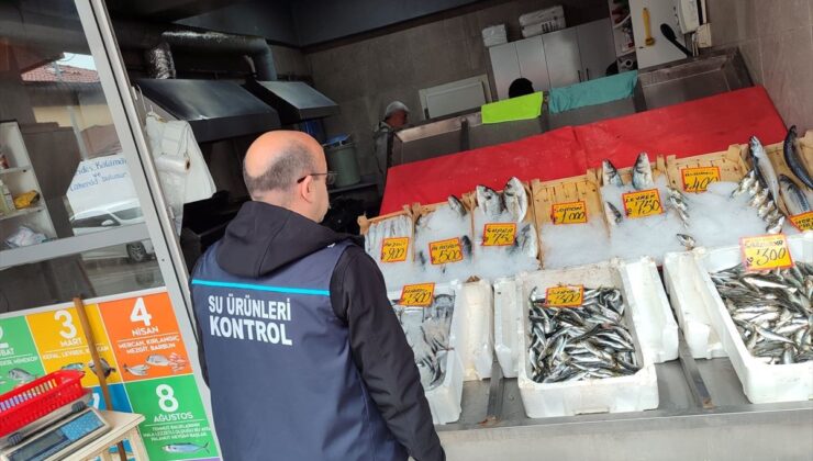 Edirne’de su eserleri kontrolleri sürüyor