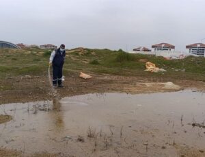 Edirne’den kısa kısa