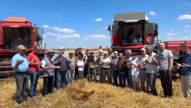 Edirne’de buğday hasadı dualarla başladı