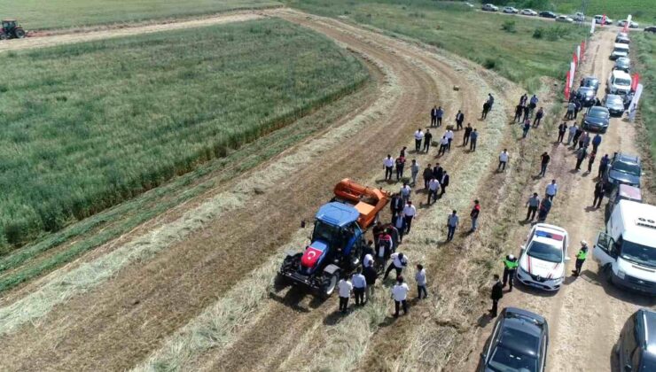 Edirne’de meralarda yeni model: Üretimden elde edilen gelir tekrar meraya yatırılacak