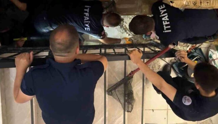 Merdiven boşluğuna sıkışan kedi merdiven ve fayans kırılarak kurtarıldı