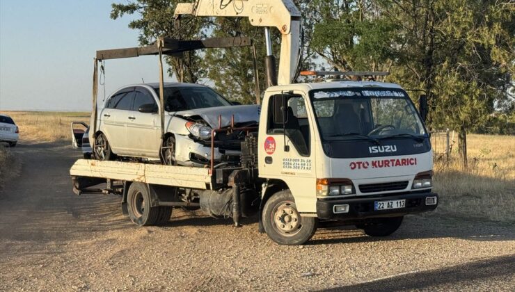 Edirne’de arabanın çarptığı 6 koyun telef oldu