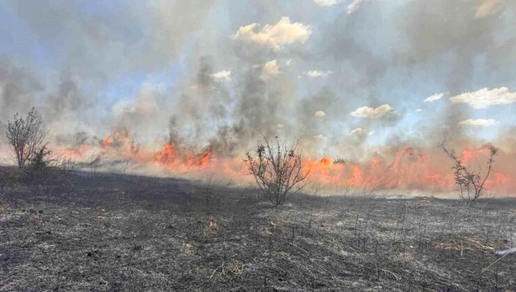 Edirne’de vatandaşlar alevlere karşı seferber oldu