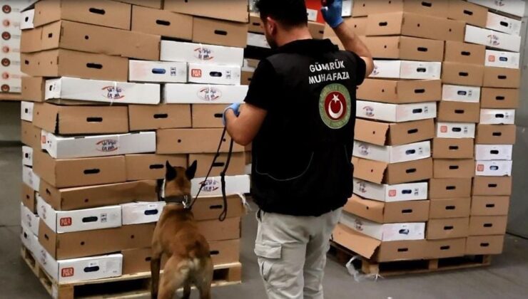 Kapıkule’de tavuk kolilerinden uyuşturucu çıktı: 526 kilo esrar ele geçirildi
